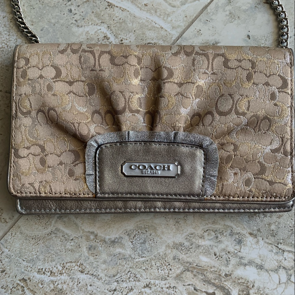 Metallic Coach bag